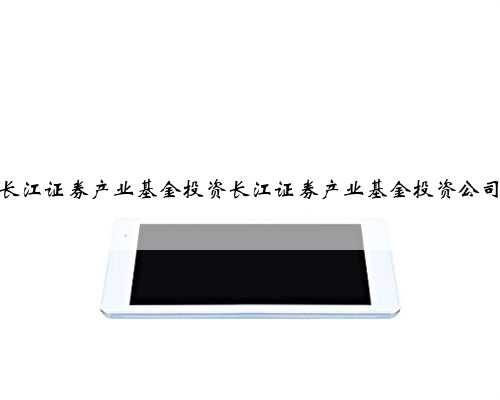 长江证券产业基金投资长江证券产业基金投资公司