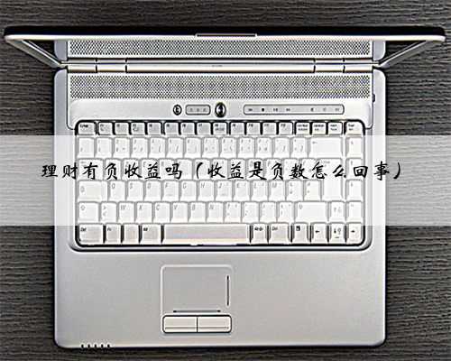 理财有负收益吗（收益是负数怎么回事）