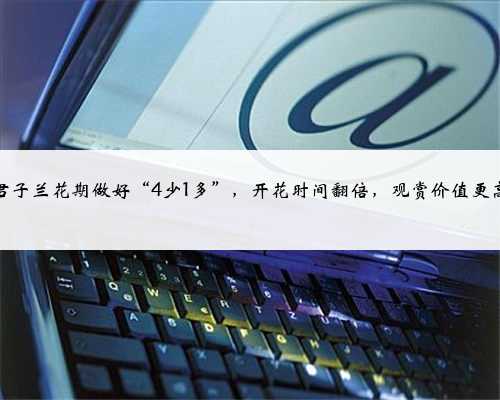 君子兰花期做好“4少1多”，开花时间翻倍，观赏价值更高