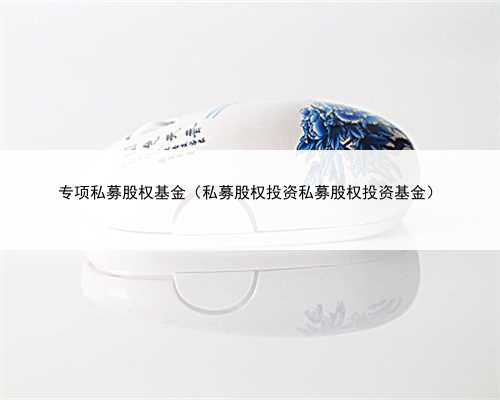 专项私募股权基金（私募股权投资私募股权投资基金）