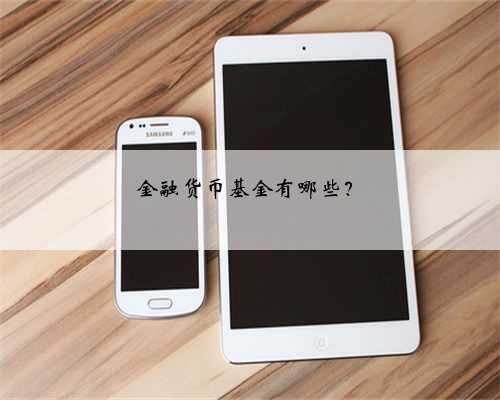 金融货币基金有哪些？