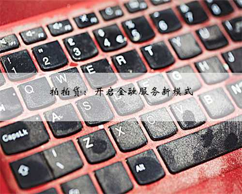 拍拍贷：开启金融服务新模式