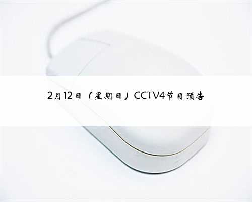 2月12日（星期日）CCTV4节目预告