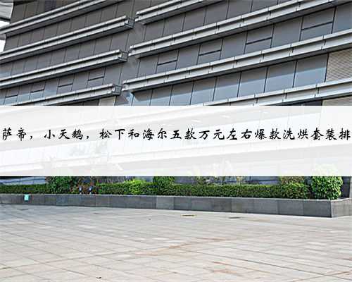 卡萨帝，小天鹅，松下和海尔五款万元左右爆款洗烘套装排名