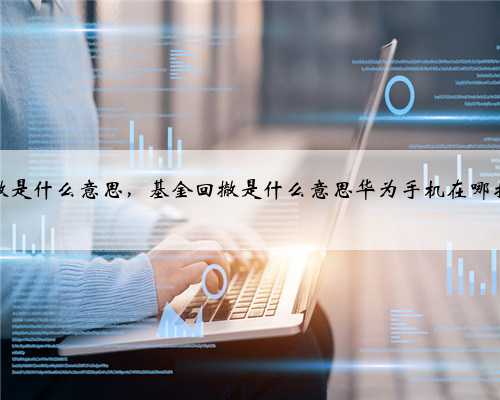 基金回撤是什么意思，基金回撤是什么意思华为手机在哪拍证件照