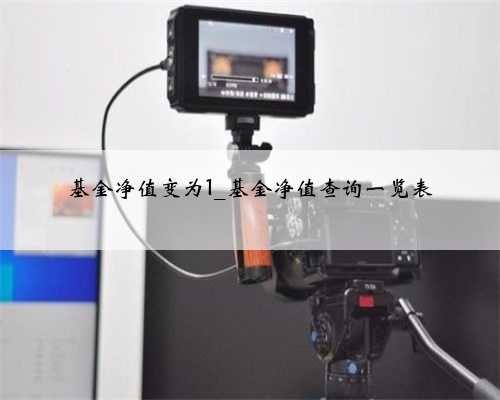 基金净值变为1_基金净值查询一览表