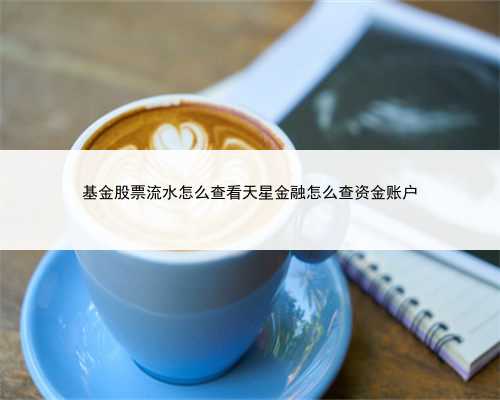 基金股票流水怎么查看天星金融怎么查资金账户