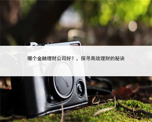 哪个金融理财公司好？，探寻高效理财的秘诀