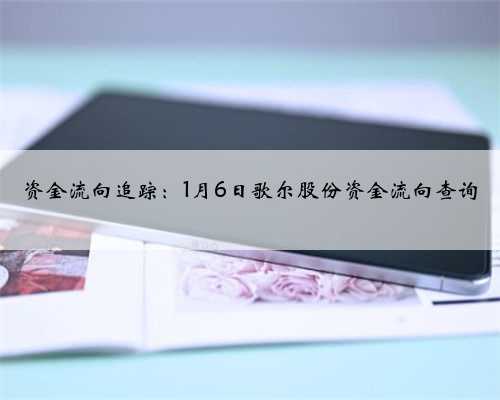 资金流向追踪：1月6日歌尔股份资金流向查询