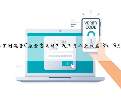 诺安汇利混合C基金怎么样？近三月以来收益1%，9月9日