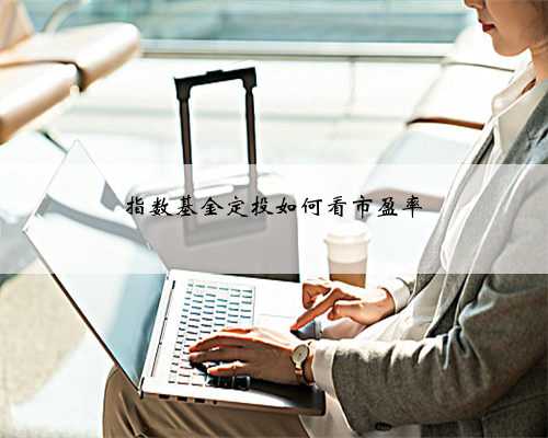 指数基金定投如何看市盈率