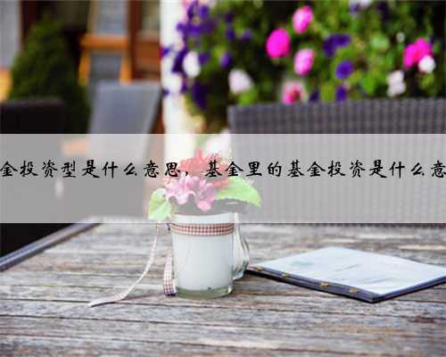 基金投资型是什么意思，基金里的基金投资是什么意思