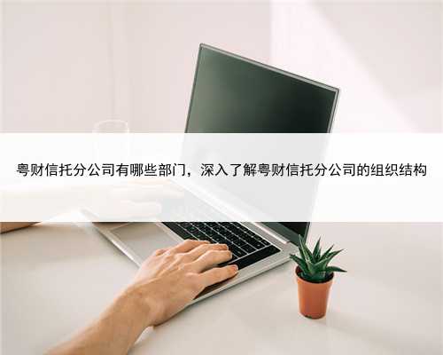 粤财信托分公司有哪些部门，深入了解粤财信托分公司的组织结构