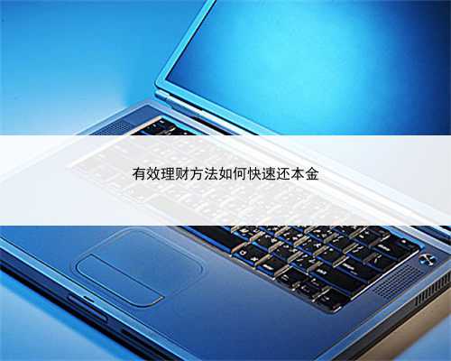 有效理财方法如何快速还本金