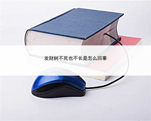 发财树不死也不长是怎么回事