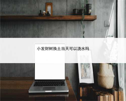 小发财树换土当天可以浇水吗