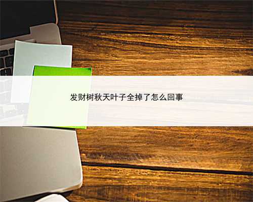 发财树秋天叶子全掉了怎么回事