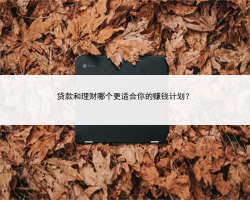 贷款和理财哪个更适合你的赚钱计划？