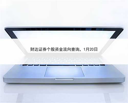 财达证券个股资金流向查询，1月20日