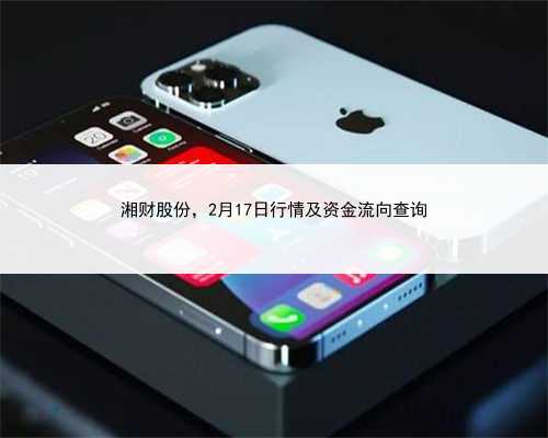 湘财股份，2月17日行情及资金流向查询