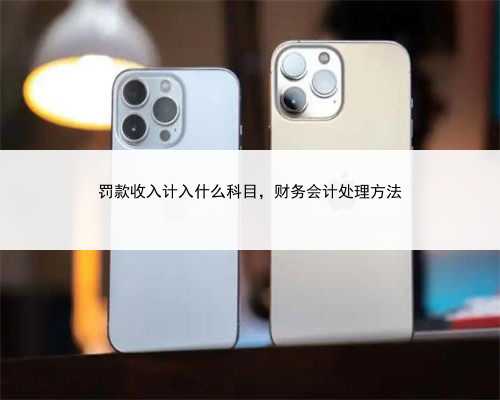 罚款收入计入什么科目，财务会计处理方法
