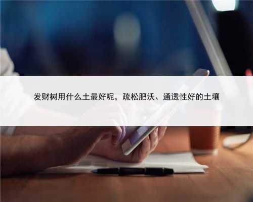 发财树用什么土最好呢，疏松肥沃、通透性好的土壤