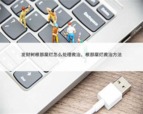 发财树根部腐烂怎么处理救治，根部腐烂救治方法