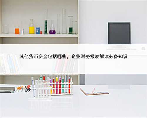 其他货币资金包括哪些，企业财务报表解读必备知识