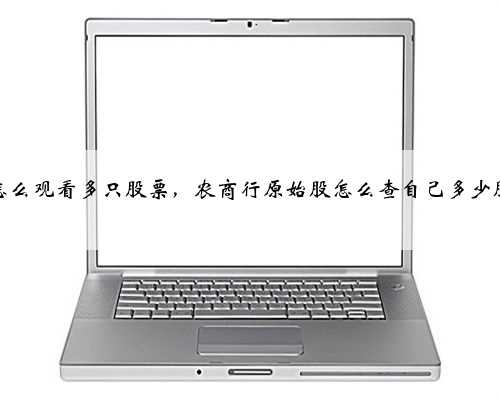 怎么观看多只股票，农商行原始股怎么查自己多少股