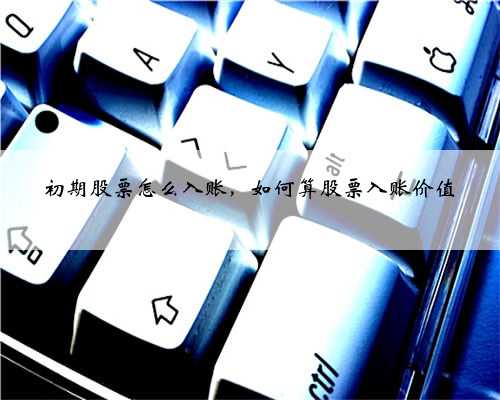 初期股票怎么入账，如何算股票入账价值