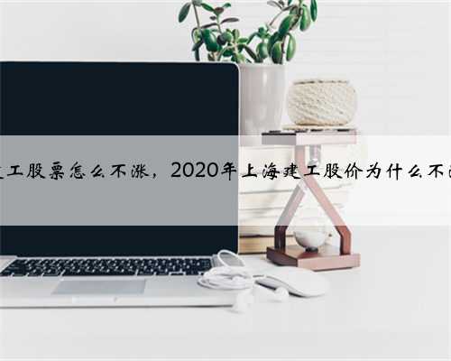 建工股票怎么不涨，2020年上海建工股价为什么不涨