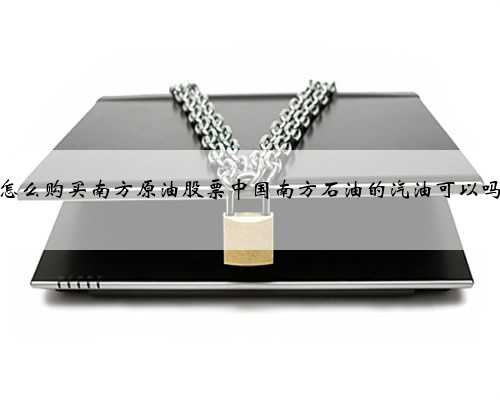 怎么购买南方原油股票中国南方石油的汽油可以吗