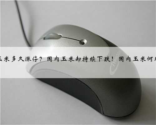 股票玉米多久涨停？国内玉米却持续下跌！国内玉米何时止跌