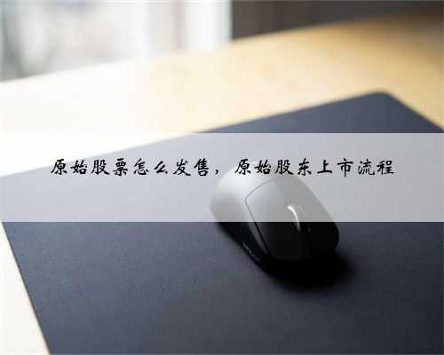 原始股票怎么发售，原始股东上市流程