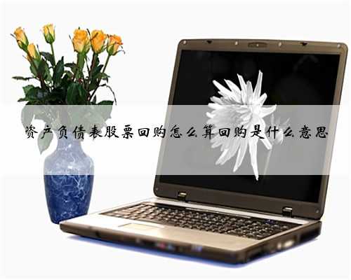 资产负债表股票回购怎么算回购是什么意思