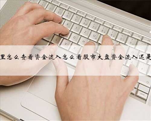 股票里怎么查看资金流入怎么看股市大盘资金流入还是流出