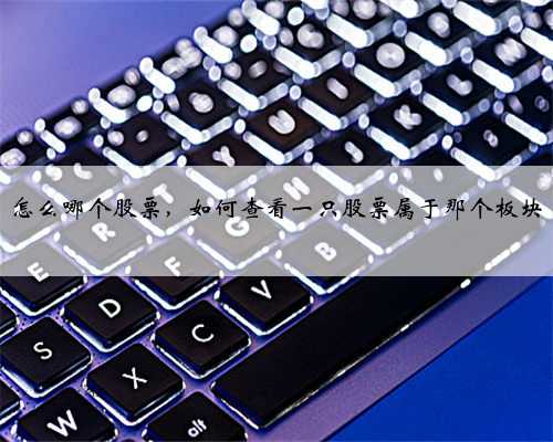 怎么哪个股票，如何查看一只股票属于那个板块