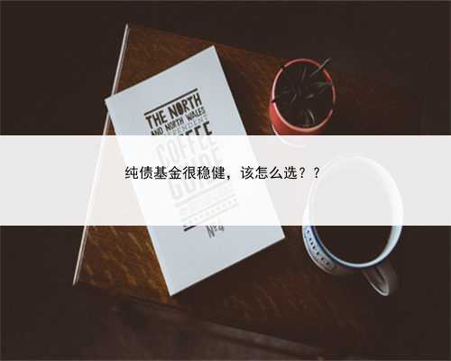 纯债基金很稳健，该怎么选？？