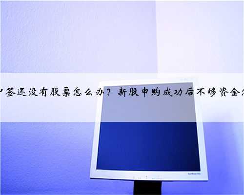 新股中签还没有股票怎么办？新股申购成功后不够资金怎么办