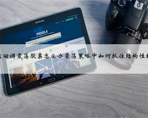 大盘回调震荡股票怎么办震荡策略中如何抓住结构性机会