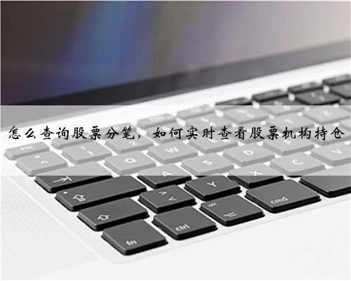 怎么查询股票分笔，如何实时查看股票机构持仓