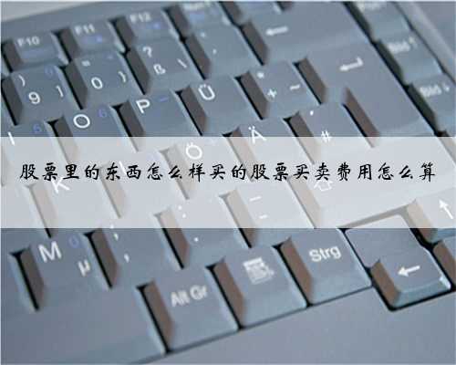 股票里的东西怎么样买的股票买卖费用怎么算