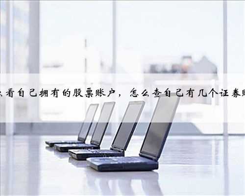 怎么看自己拥有的股票账户，怎么查自己有几个证券账户