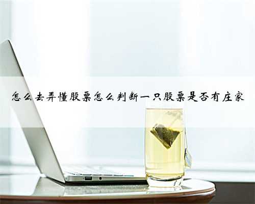 怎么去弄懂股票怎么判断一只股票是否有庄家