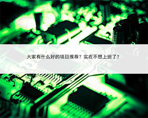 大家有什么好的项目推荐？实在不想上班了？
