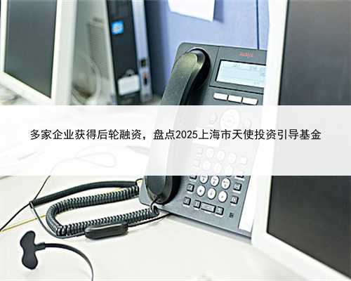 多家企业获得后轮融资，盘点2025上海市天使投资引导基金