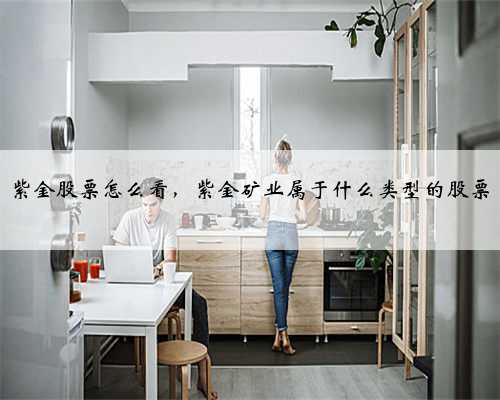 紫金股票怎么看，紫金矿业属于什么类型的股票