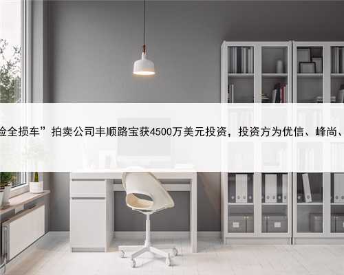 “保险全损车”拍卖公司丰顺路宝获4500万美元投资，投资方为优信、峰尚、君