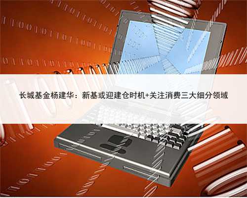 长城基金杨建华：新基或迎建仓时机 关注消费三大细分领域