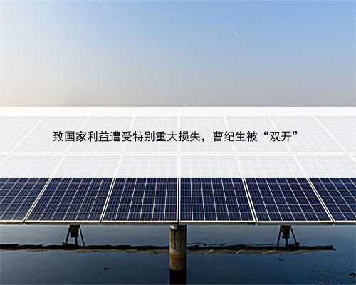 致国家利益遭受特别重大损失，曹纪生被“双开”